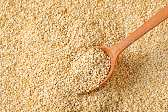 Bold White Quinoa Seeds – Levitatespices