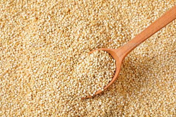 Bold White Quinoa Seeds